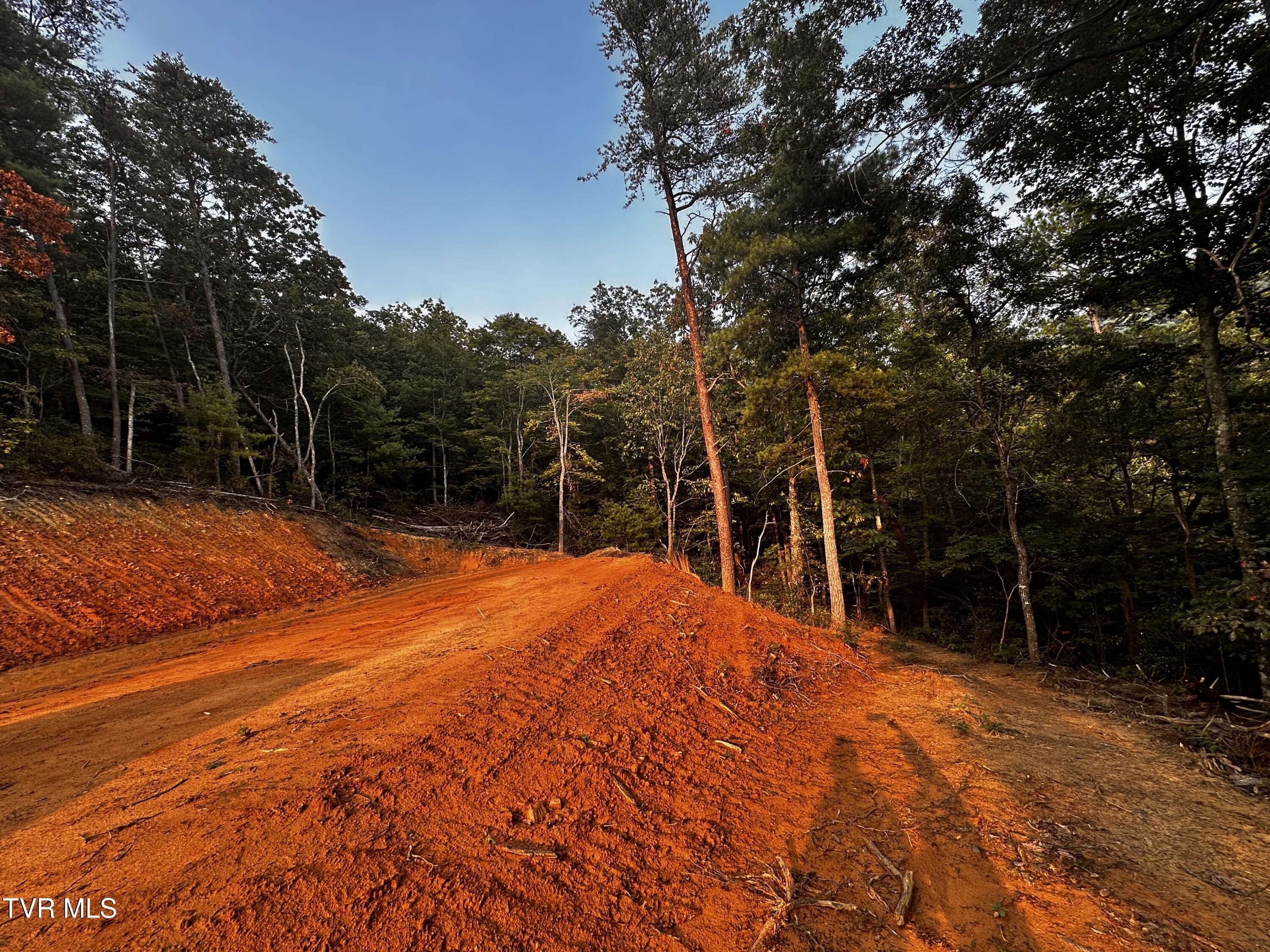 1700 Kelley Gap Road Greeneville, TN 37743 - Photo 10 of 13 IMG_3119