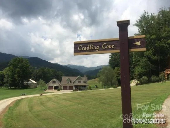 a view of a forest with trees in the background