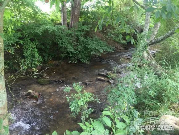 a view of a forest with lots of trees