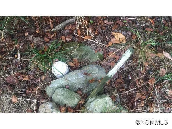 a view of a street with a yard