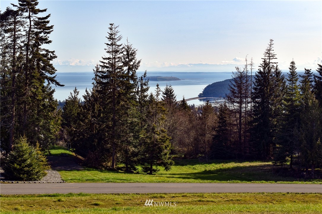 99999 Doe Run Road Sequim, WA 98382 - Photo 1 of 28