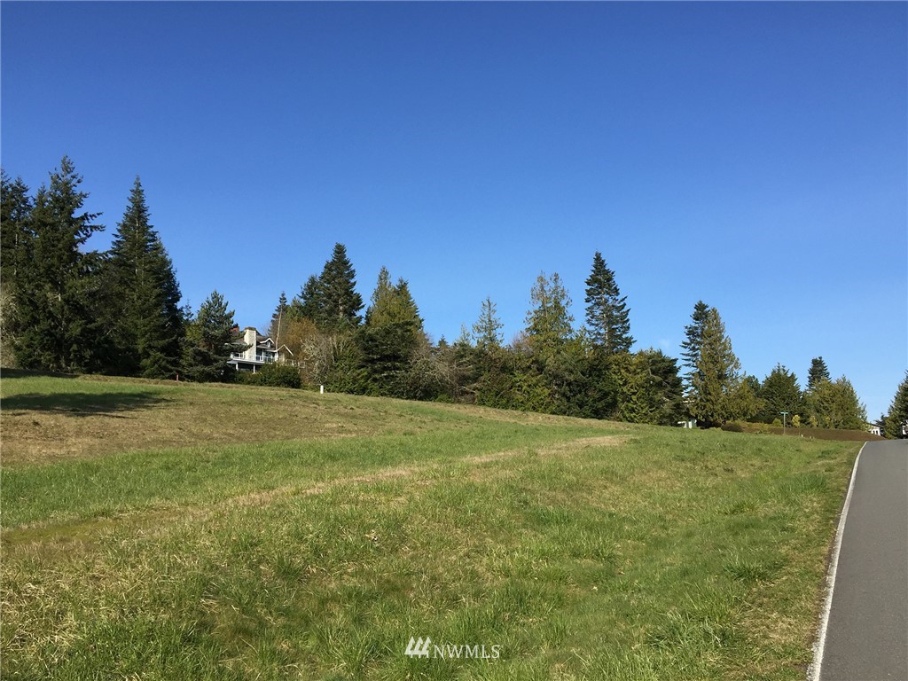 99999 Doe Run Road Sequim, WA 98382 - Photo 20 of 28