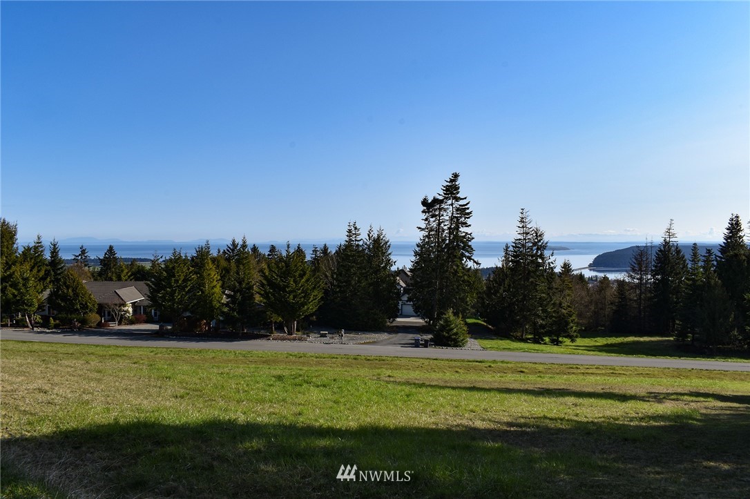99999 Doe Run Road Sequim, WA 98382 - Photo 3 of 28