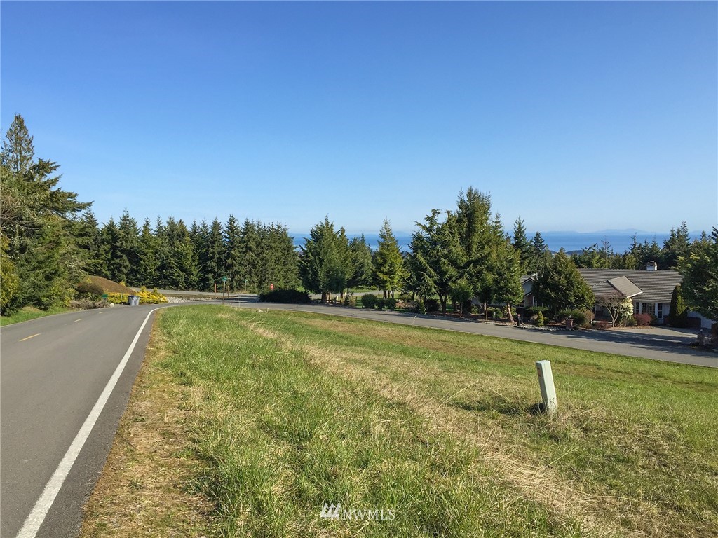 99999 Doe Run Road Sequim, WA 98382 - Photo 25 of 28