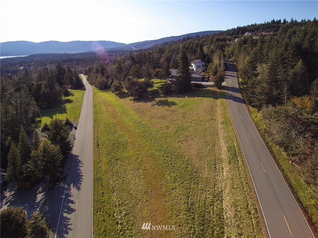 99999 Doe Run Road Sequim, WA 98382 - Photo 6 of 28