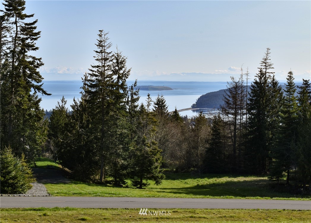99999 Doe Run Road Sequim, WA 98382 - Photo 9 of 28