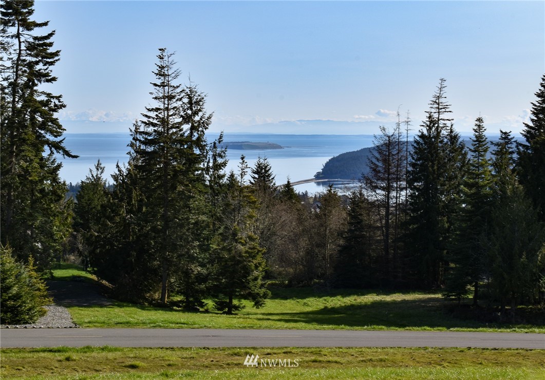 99999 Doe Run Road Sequim, WA 98382 - Photo 10 of 28