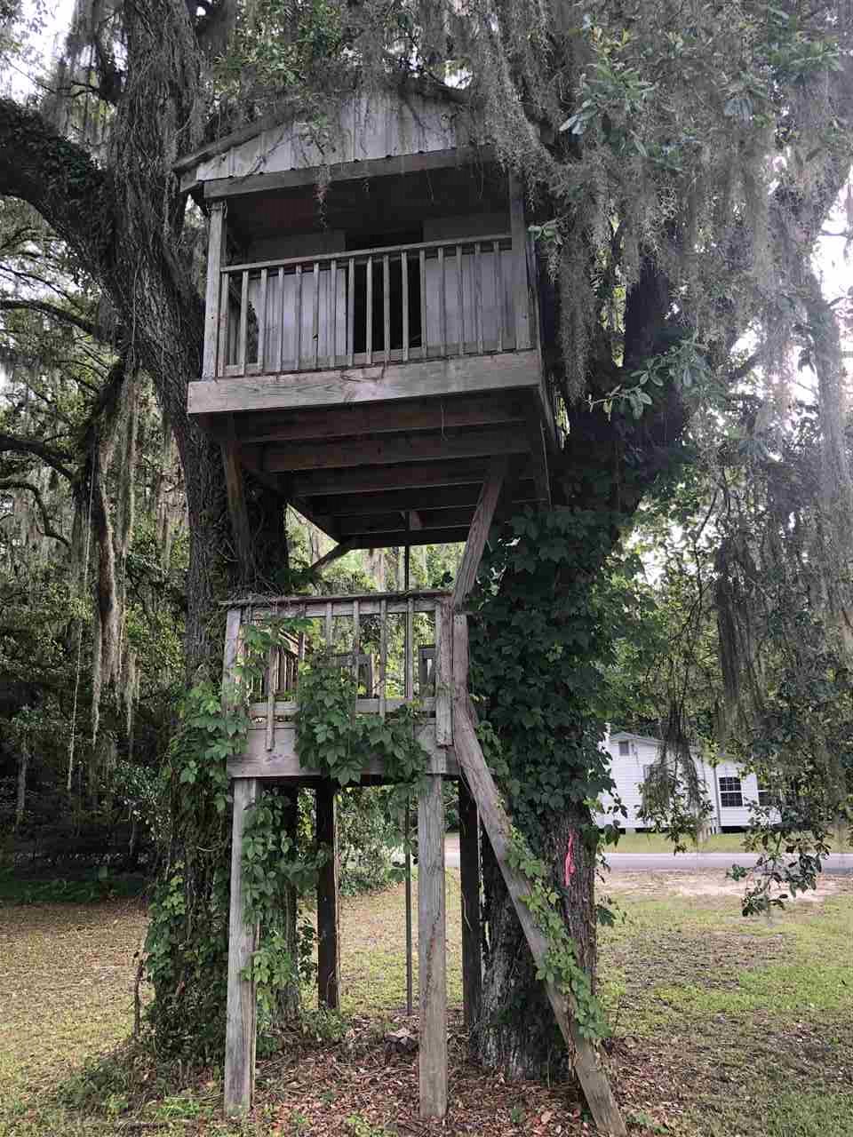 2775 Highway 27 Perry, FL 32348 - Photo 3 of 31 Gallery Image 3