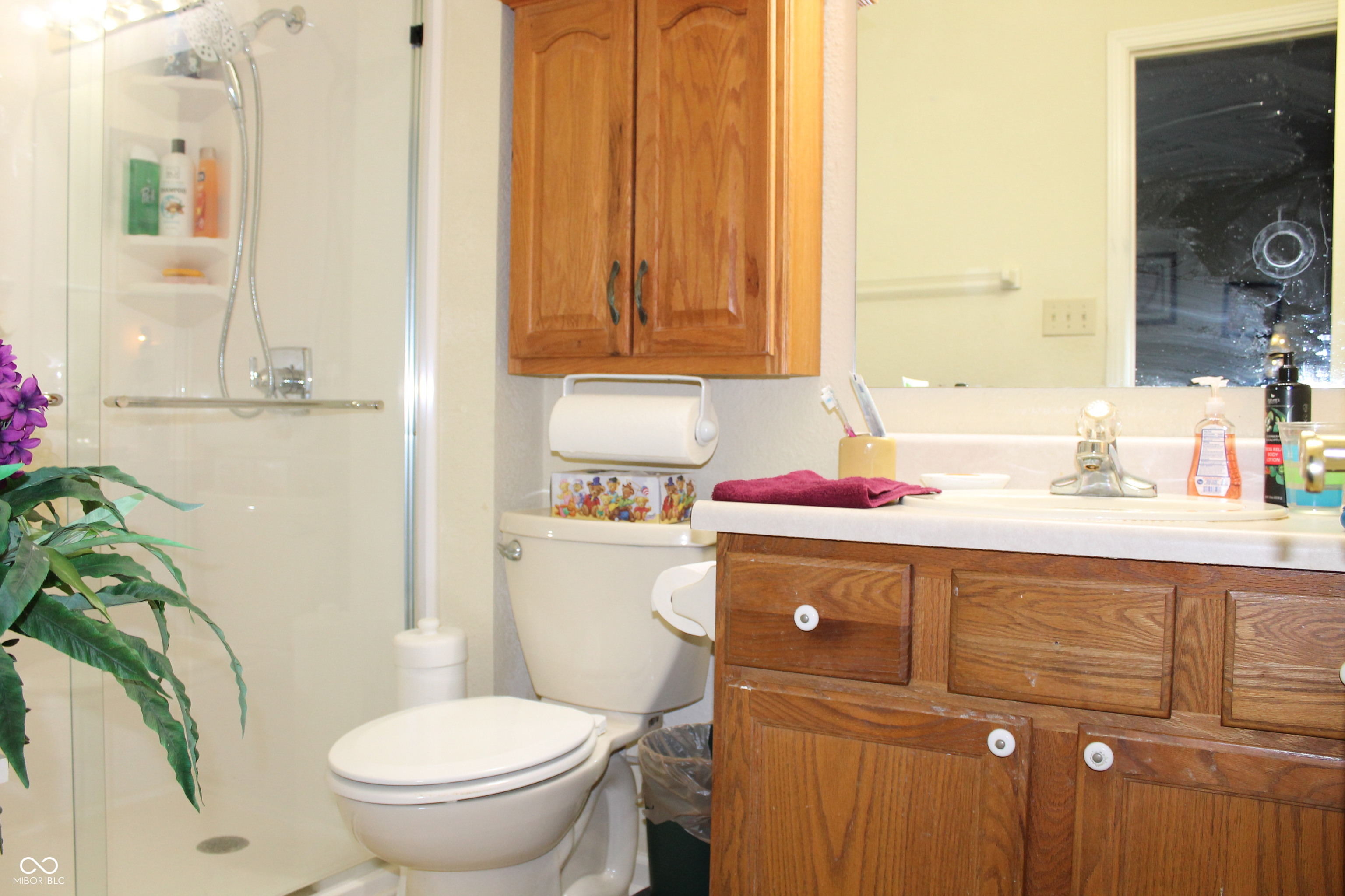 327 Brooks Bend Brownsburg, IN 46112 - Photo 11 of 20