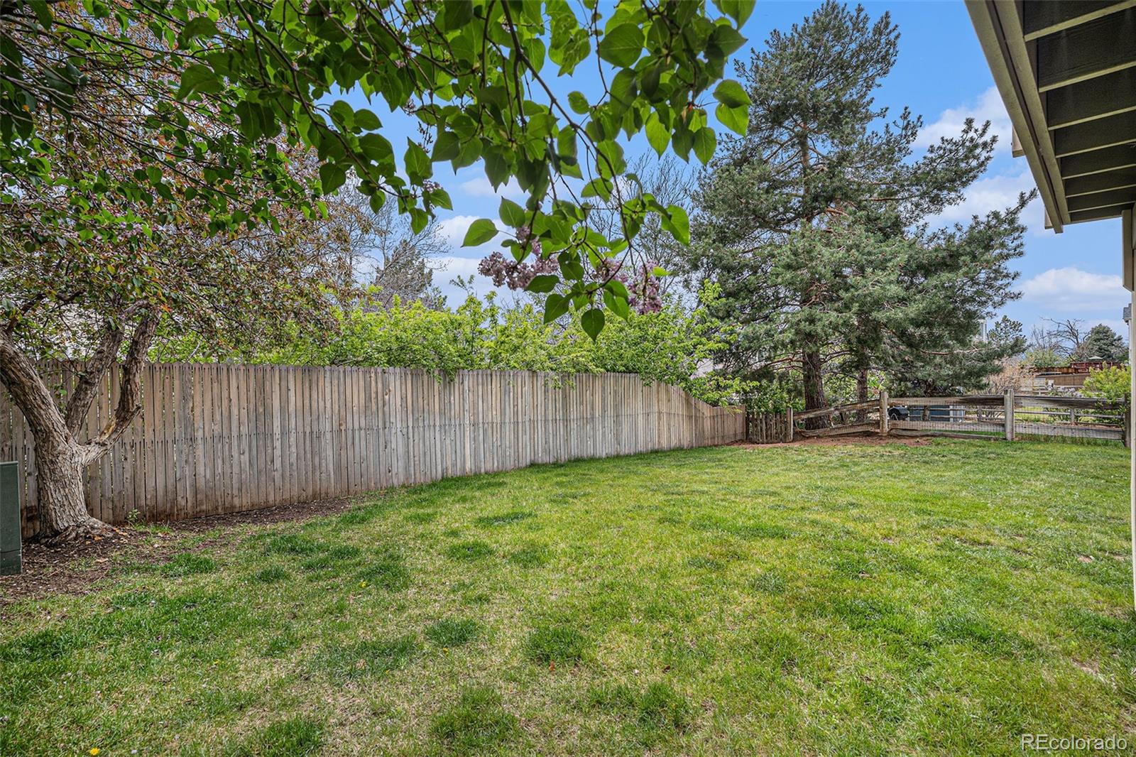 9921 South Spring Hill Place Highlands Ranch, CO 80129 - Photo 39 of 44