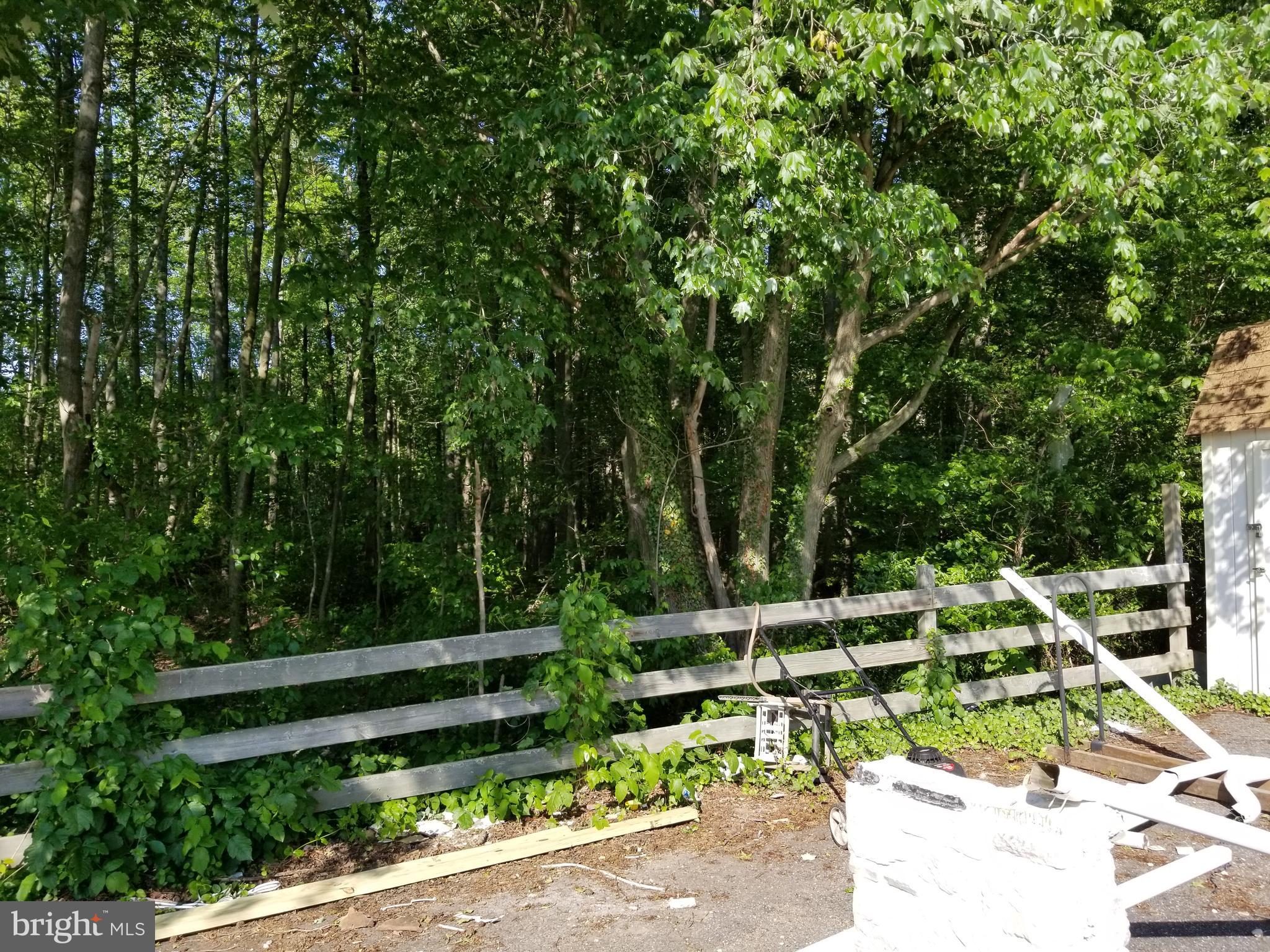 244 South Game Creek Road Penns Grove, NJ 08069 - Photo 6 of 9 a view of backyard with large trees and plants