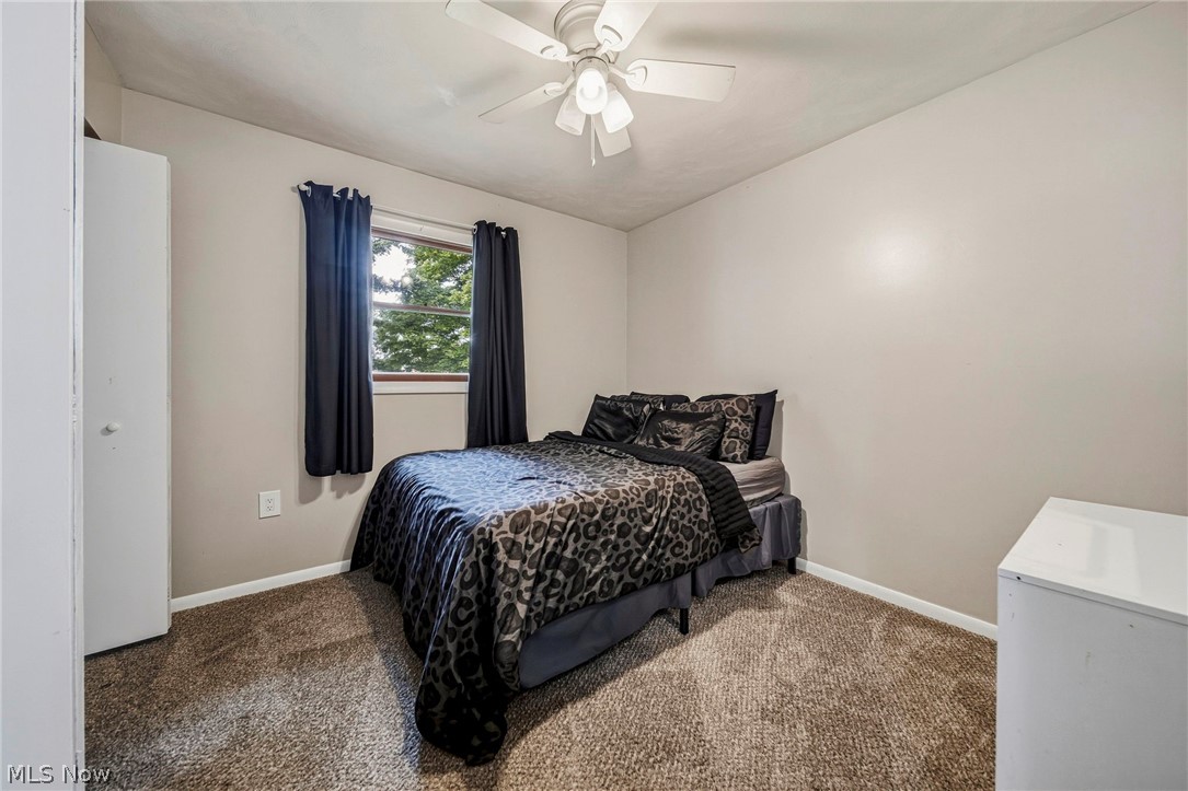 5226 State Road Ashtabula, OH 44004 - Photo 12 of 47 Gallery Image 12