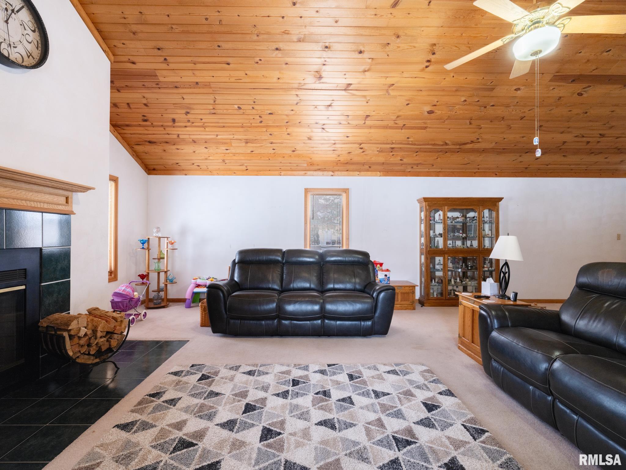 133 East Miller Road Edelstein, IL 61526 - Photo 11 of 48