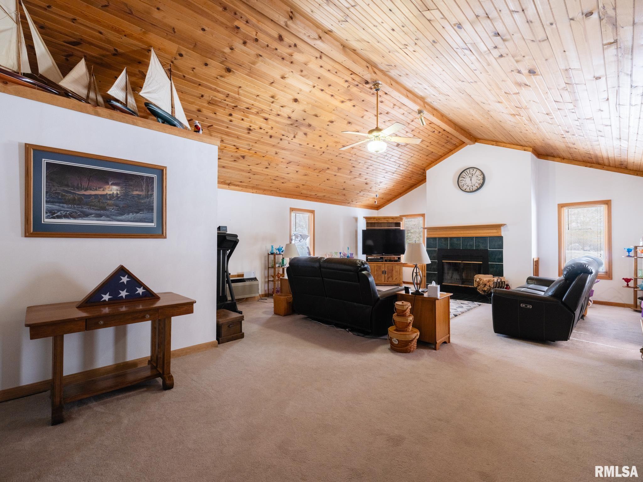 133 East Miller Road Edelstein, IL 61526 - Photo 13 of 48