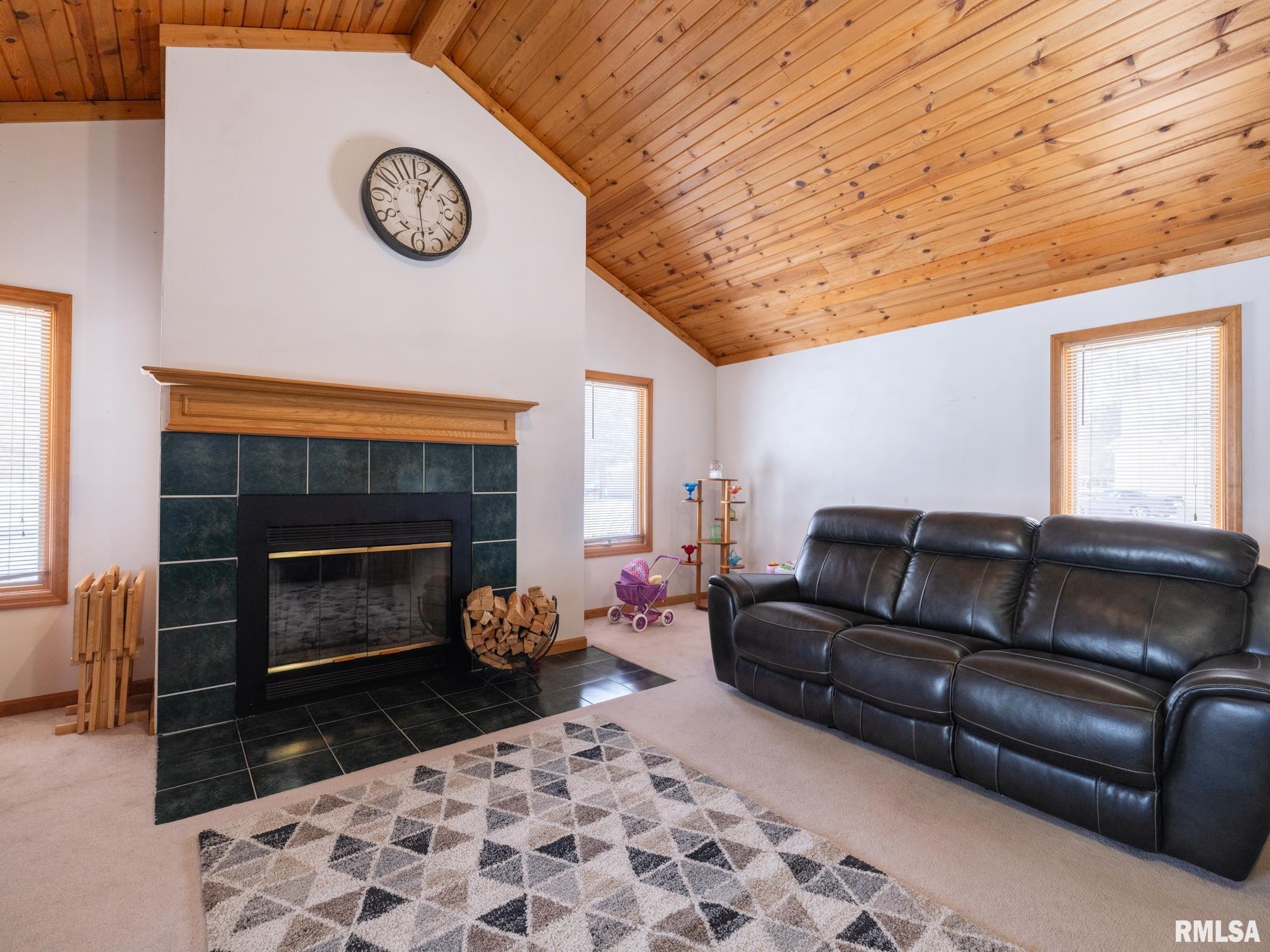 133 East Miller Road Edelstein, IL 61526 - Photo 14 of 48