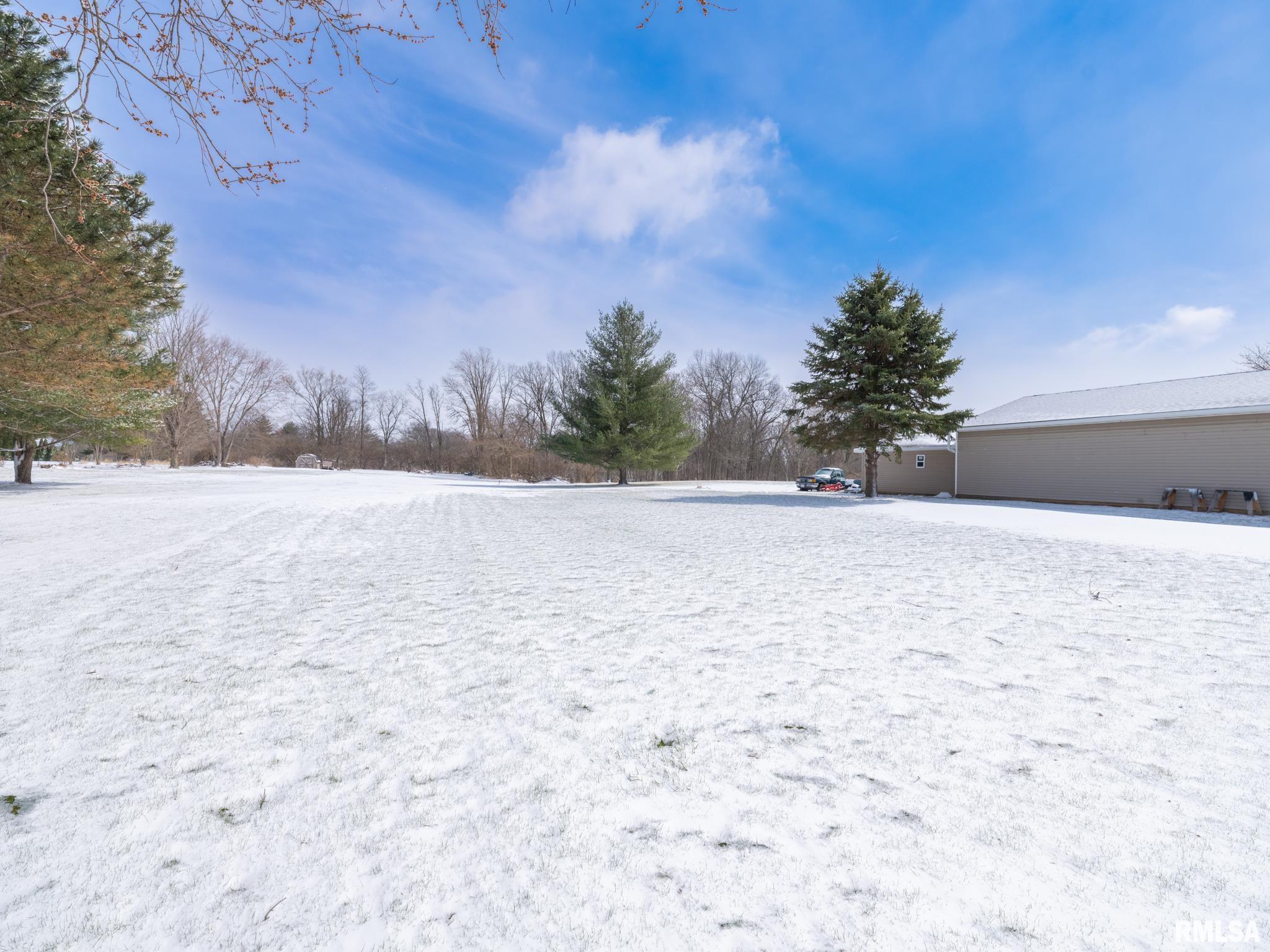 133 East Miller Road Edelstein, IL 61526 - Photo 43 of 48