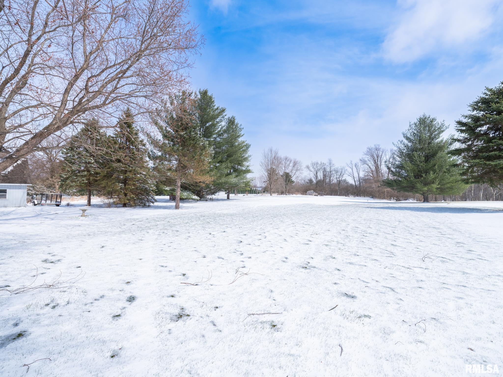 133 East Miller Road Edelstein, IL 61526 - Photo 44 of 48