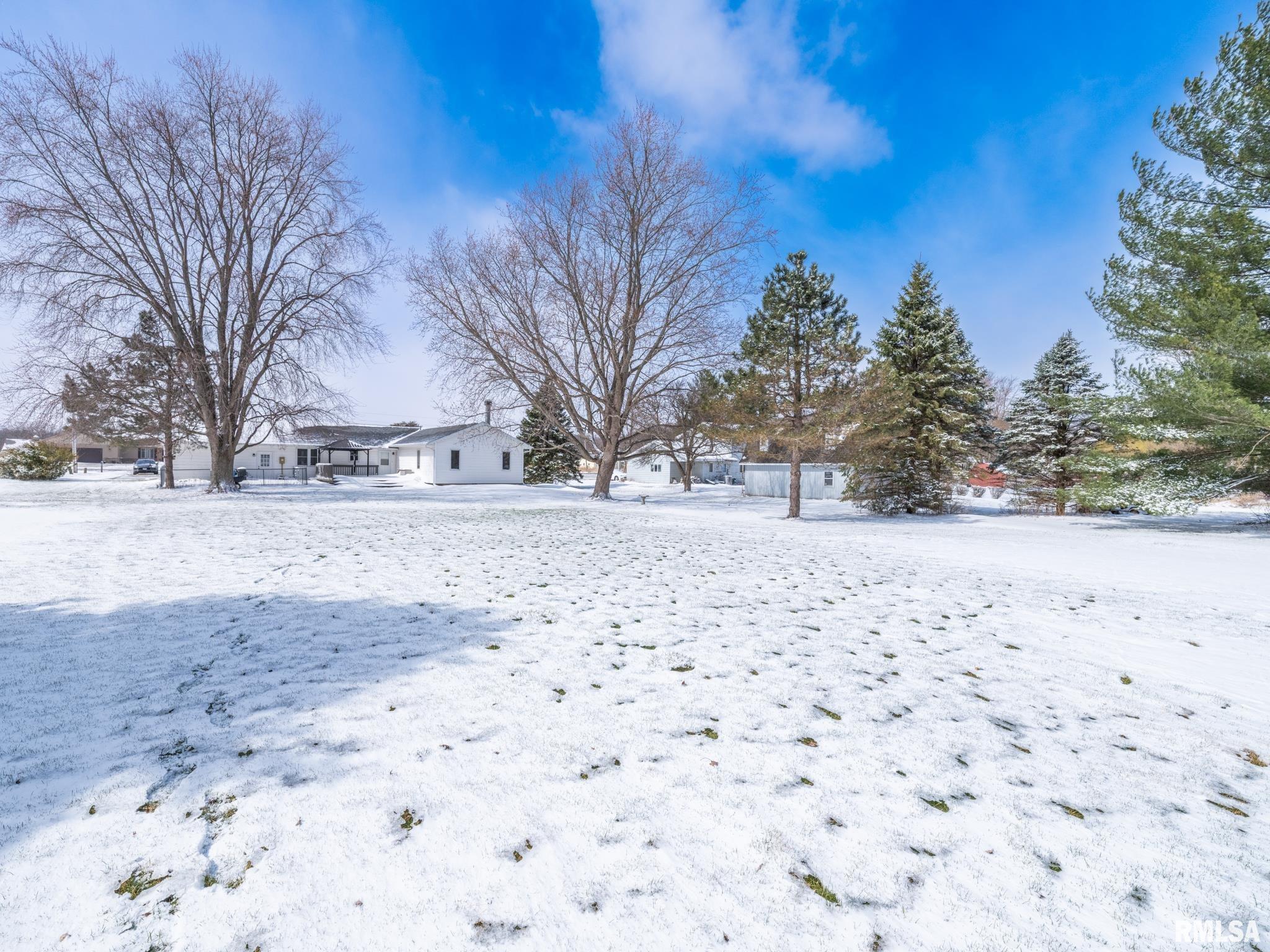 133 East Miller Road Edelstein, IL 61526 - Photo 47 of 48