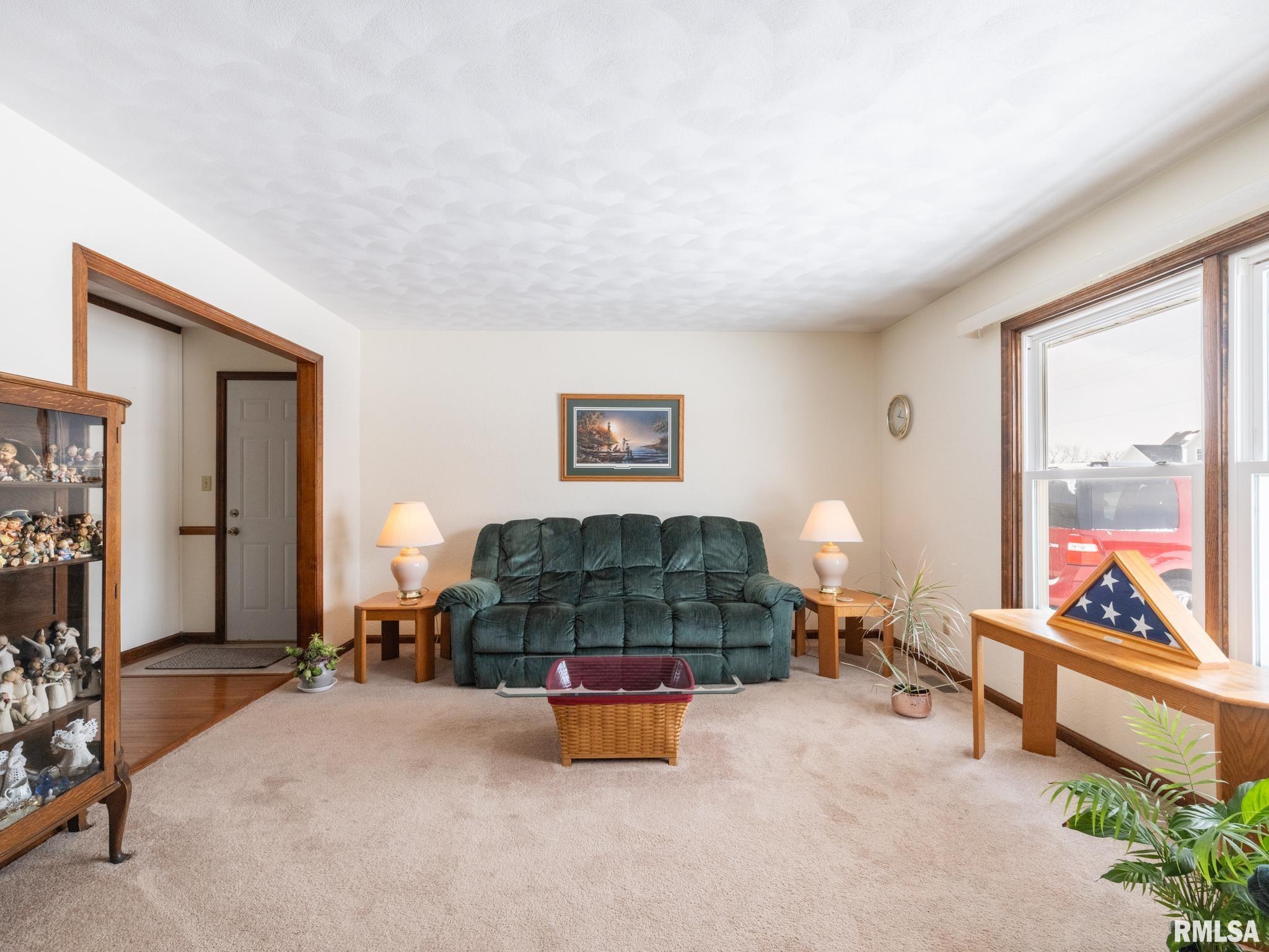 133 East Miller Road Edelstein, IL 61526 - Photo 5 of 48