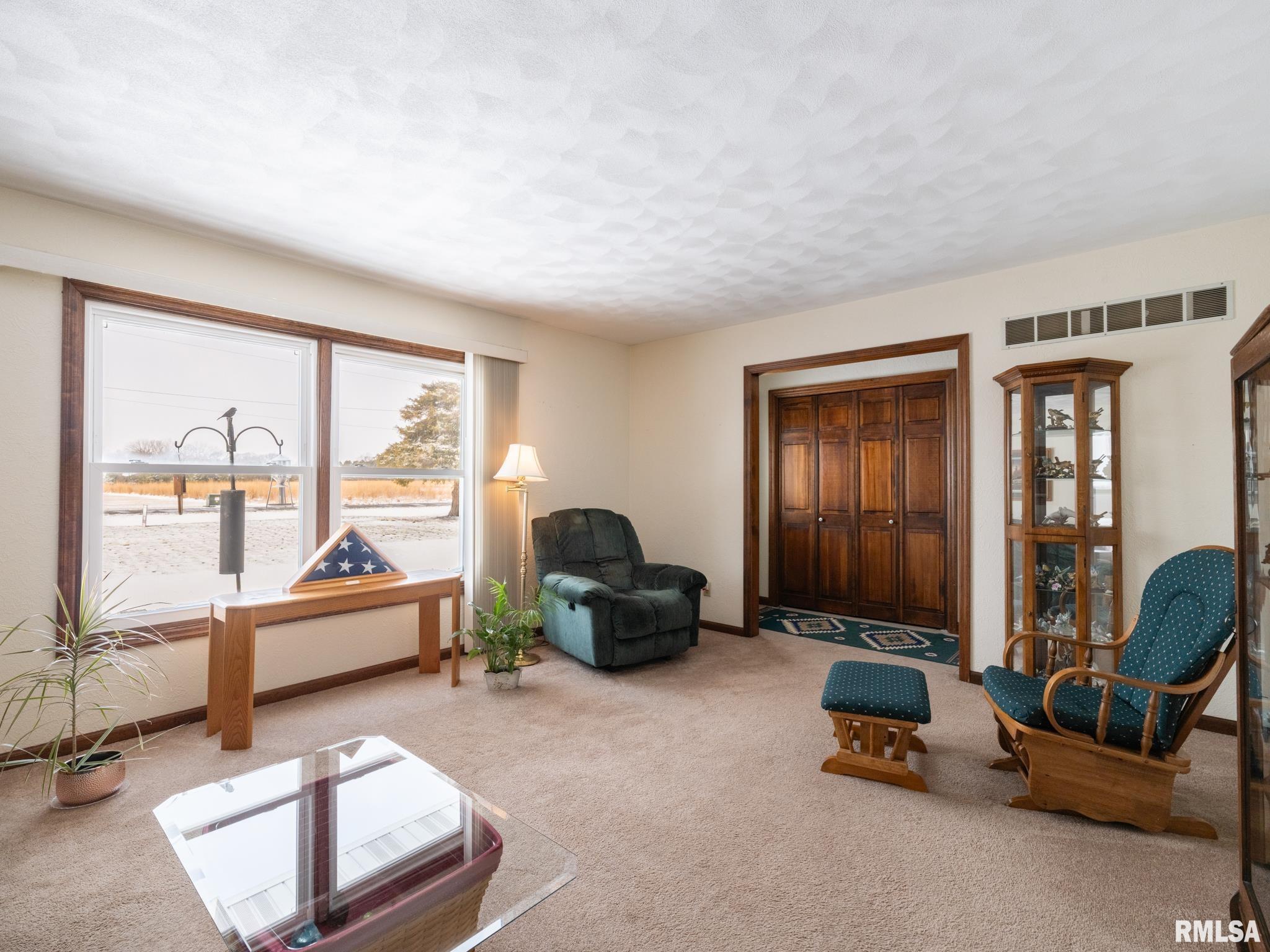 133 East Miller Road Edelstein, IL 61526 - Photo 7 of 48