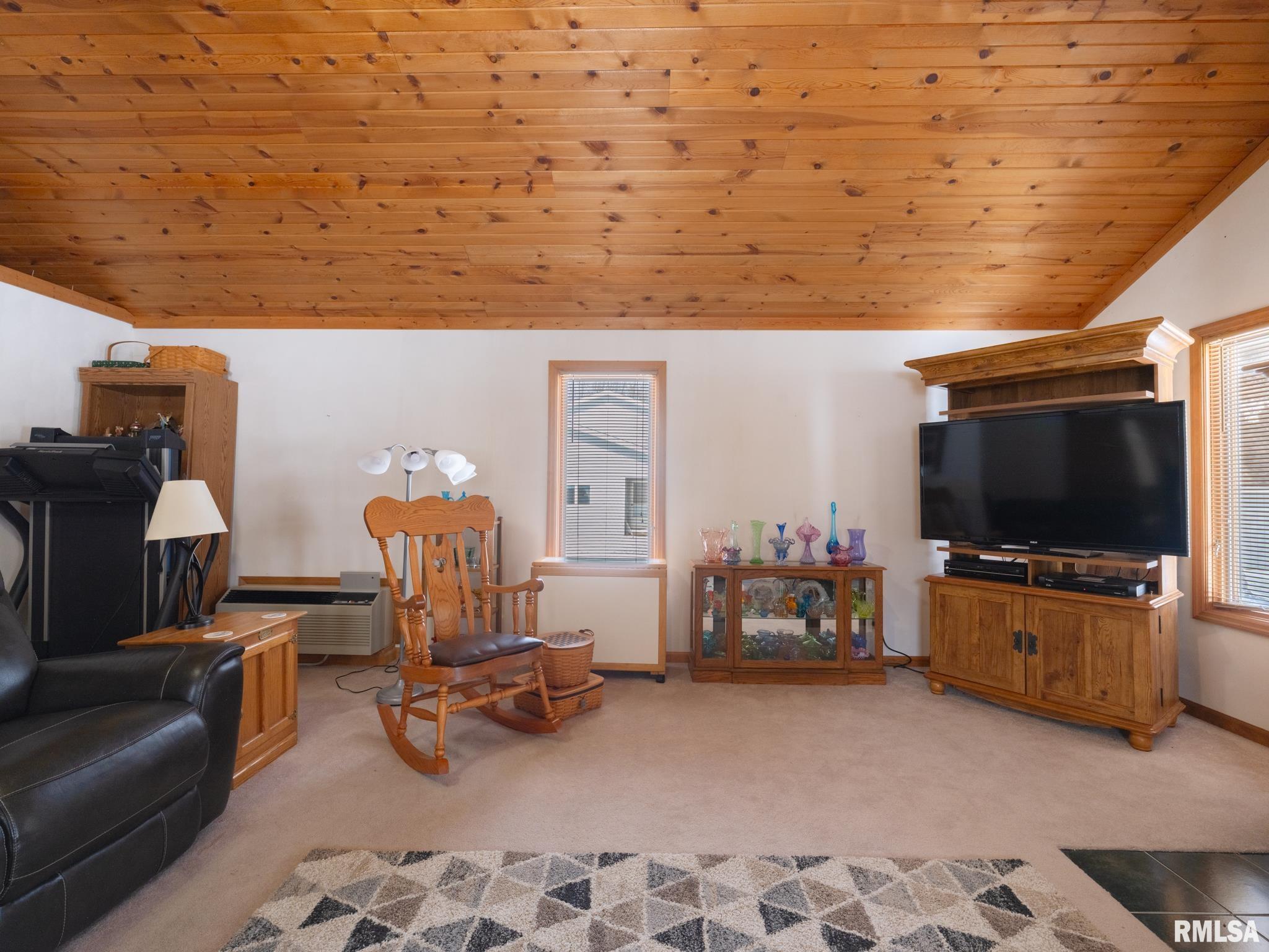 133 East Miller Road Edelstein, IL 61526 - Photo 10 of 48