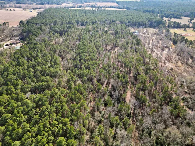 a view of a forest with a houses