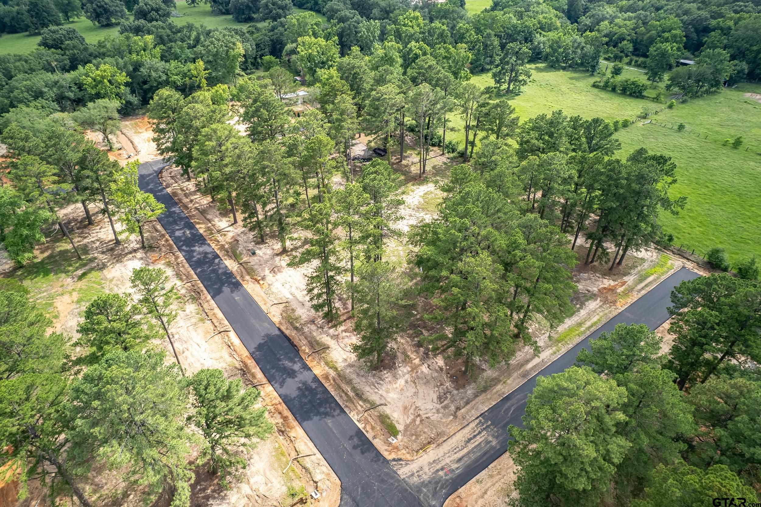 12141 Stephanie Lane Flint, TX 75762 - Photo 12 of 24 a view of a yard with a tree