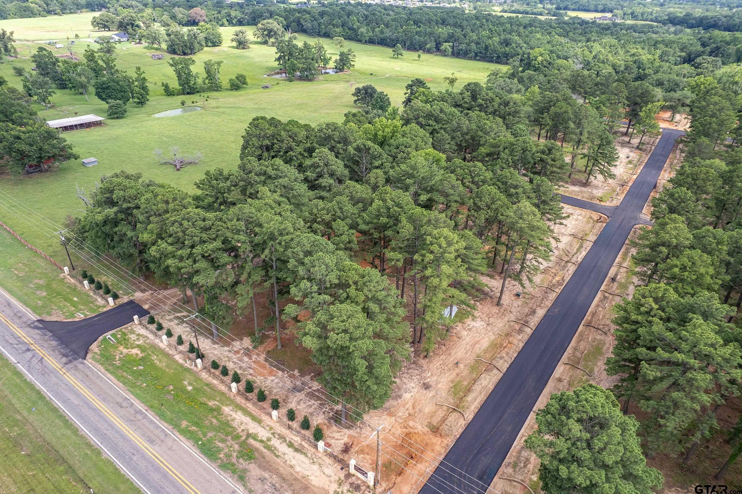 12141 Stephanie Lane Flint, TX 75762 - Photo 14 of 24 a view of a yard with wooden floor