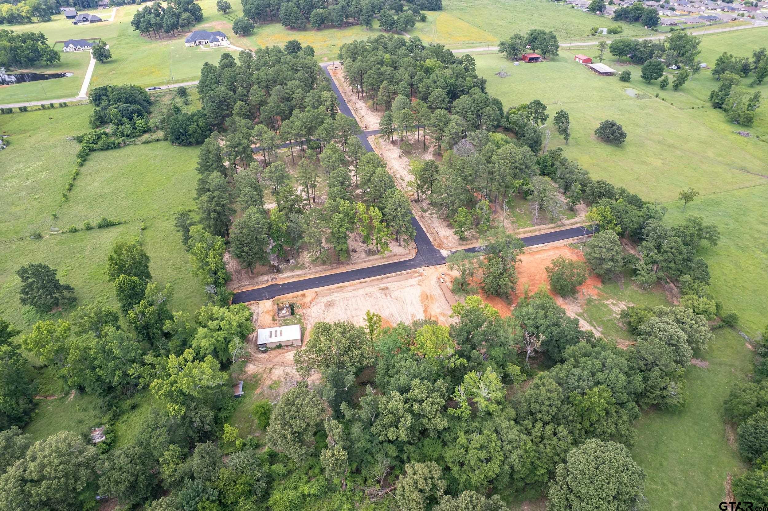 12141 Stephanie Lane Flint, TX 75762 - Photo 20 of 24 an aerial view of residential house with outdoor space and trees all around