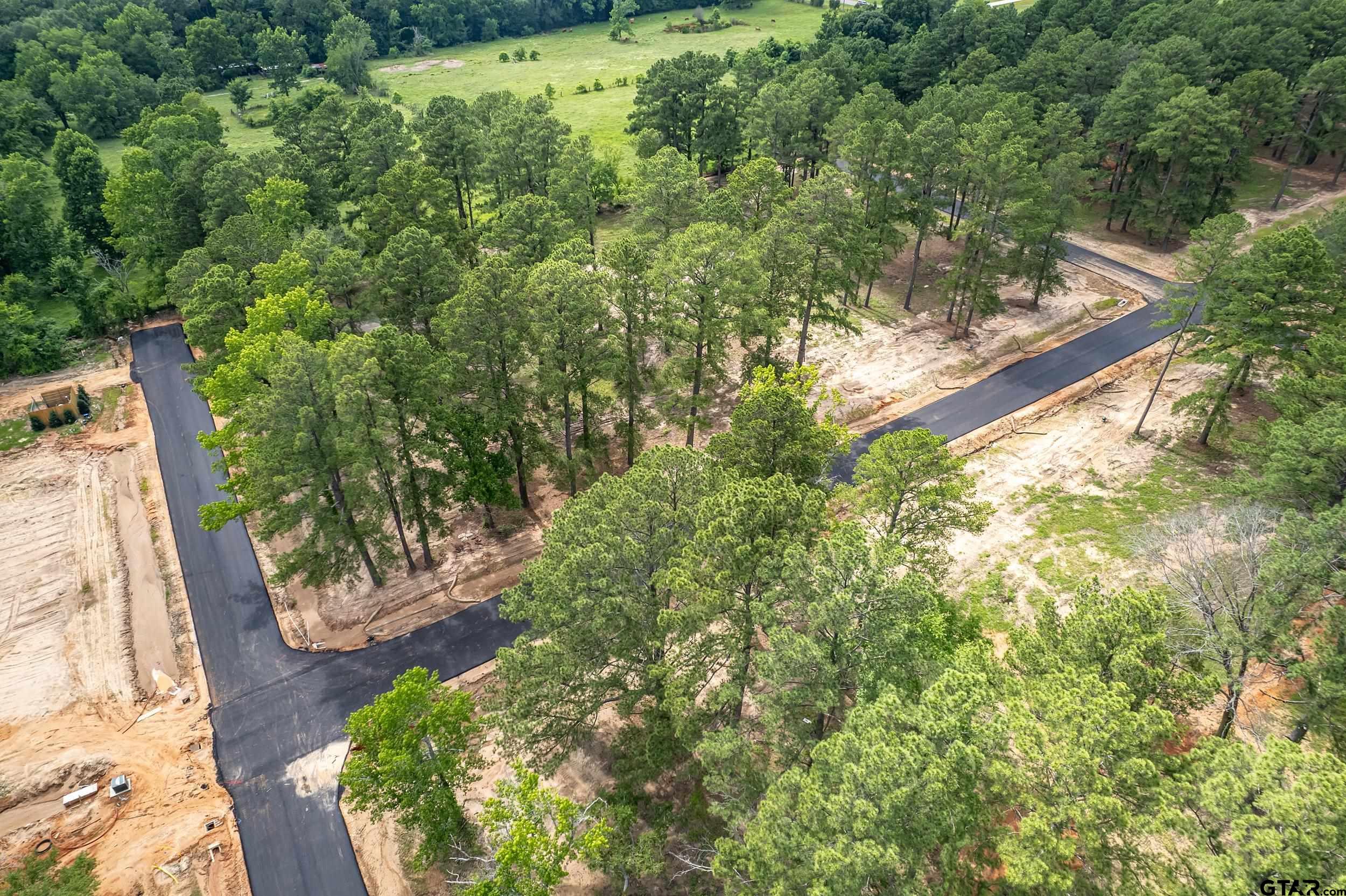 12141 Stephanie Lane Flint, TX 75762 - Photo 7 of 24 a view of a yard with plants and large trees