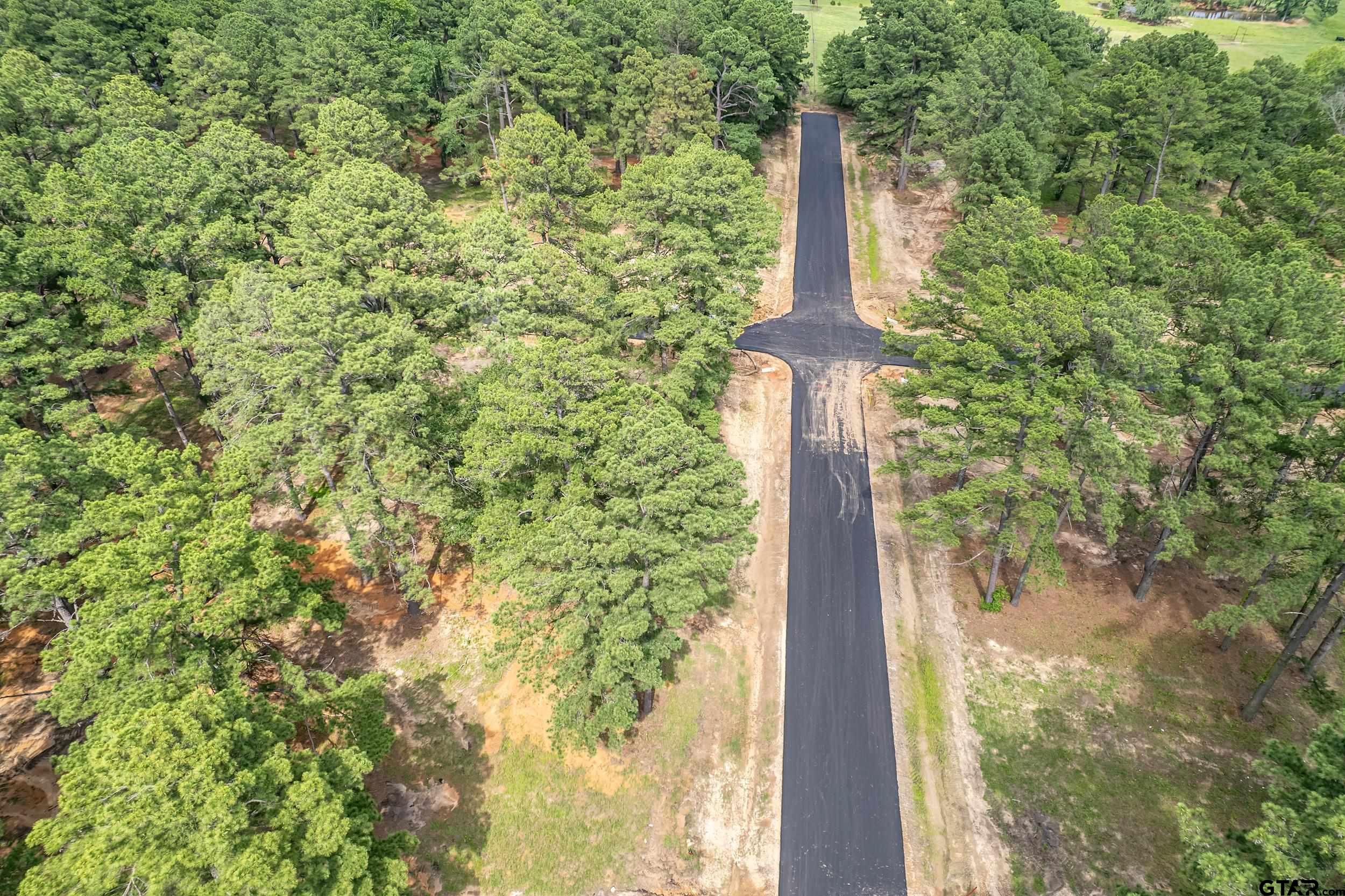 12141 Stephanie Lane Flint, TX 75762 - Photo 9 of 24