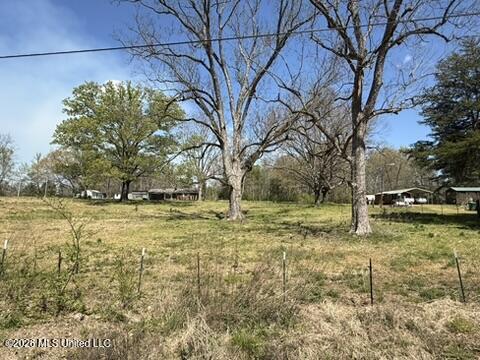 1332 Walker Road Terry, MS 39170 - Photo 5 of 61 E3CF5468-82A8-45CD-9749-6E534438E677_4_5