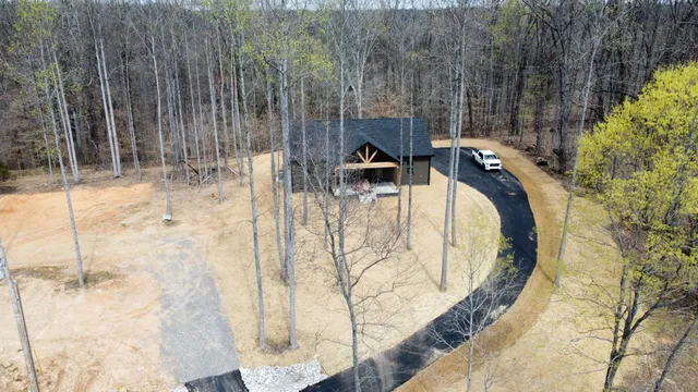 a view of a trees in a backyard