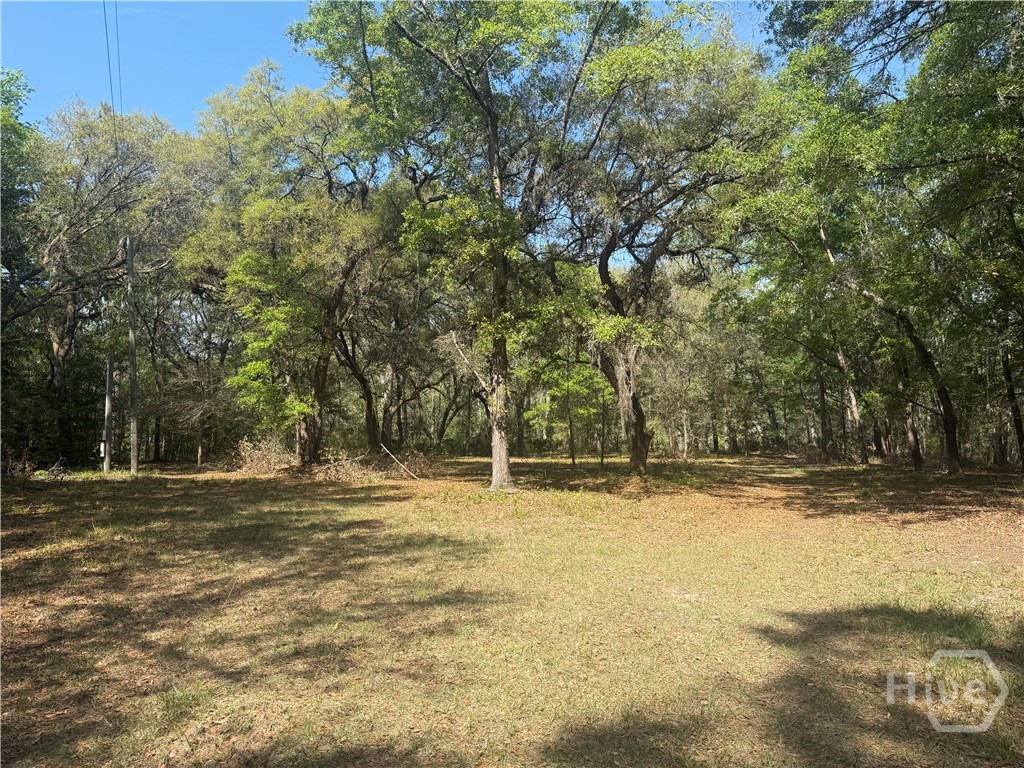 315 High Bluff Road Rincon, GA 31326 - Photo 13 of 13 Gallery Image 13