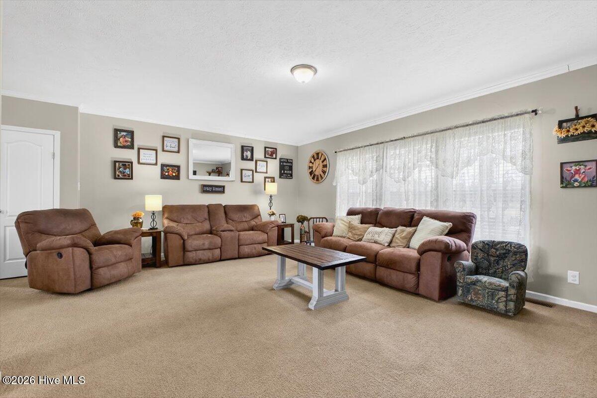 1529 Vinegar Hill Road Tabor City, NC 28463 - Photo 16 of 57 24-kahunaphoto