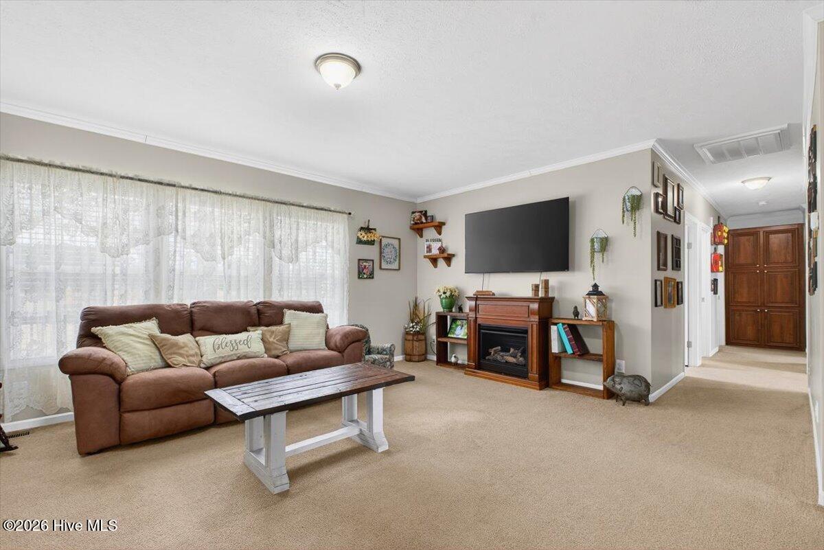 1529 Vinegar Hill Road Tabor City, NC 28463 - Photo 17 of 57 25-kahunaphoto