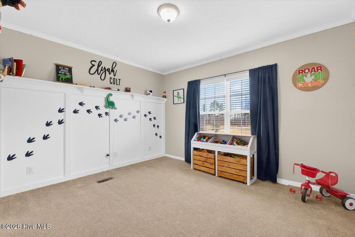 1529 Vinegar Hill Road Tabor City, NC 28463 - Photo 29 of 57 31-kahunaphoto