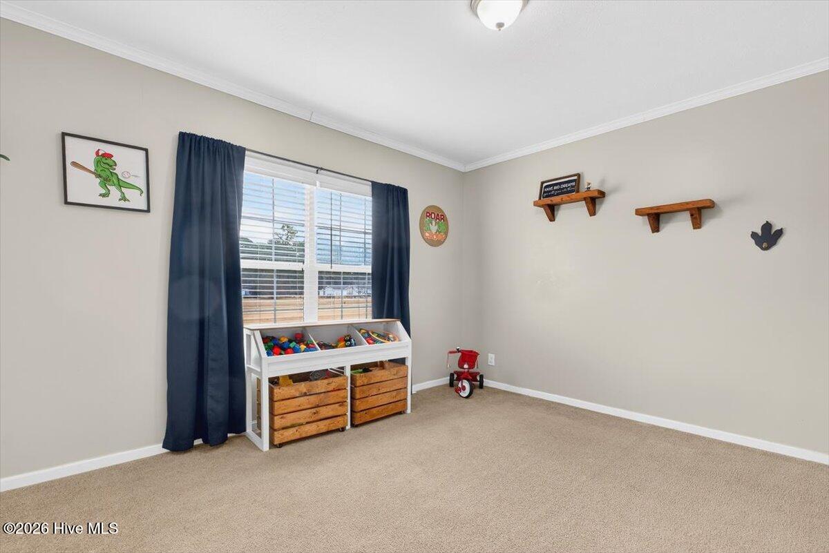 1529 Vinegar Hill Road Tabor City, NC 28463 - Photo 30 of 57 32-kahunaphoto