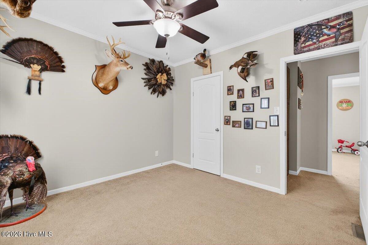 1529 Vinegar Hill Road Tabor City, NC 28463 - Photo 33 of 57 38-kahunaphoto