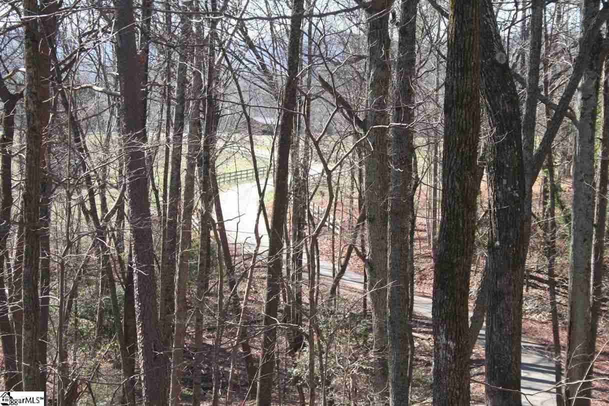 Prewette Hill Road Landrum, SC 29356 - Photo 2 of 25
