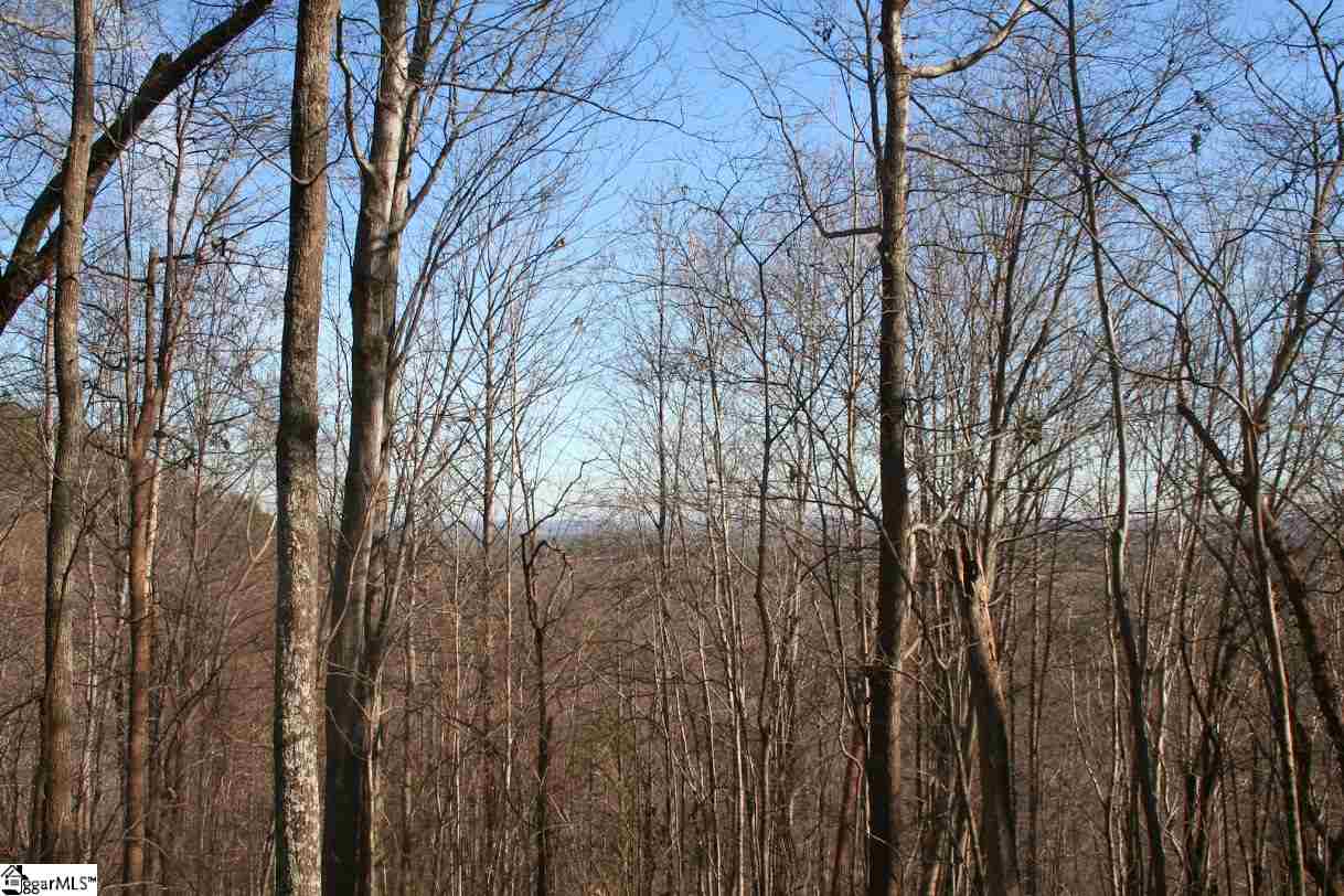 Prewette Hill Road Landrum, SC 29356 - Photo 11 of 25