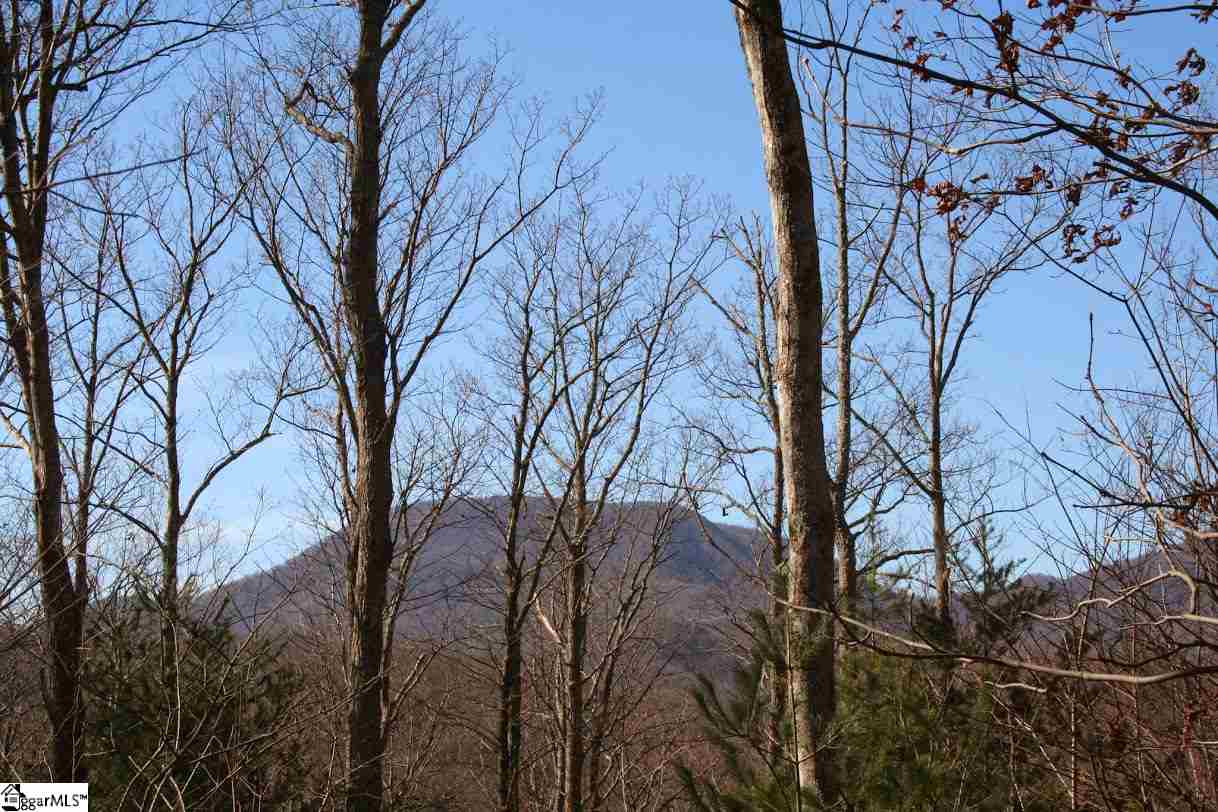 Prewette Hill Road Landrum, SC 29356 - Photo 12 of 25