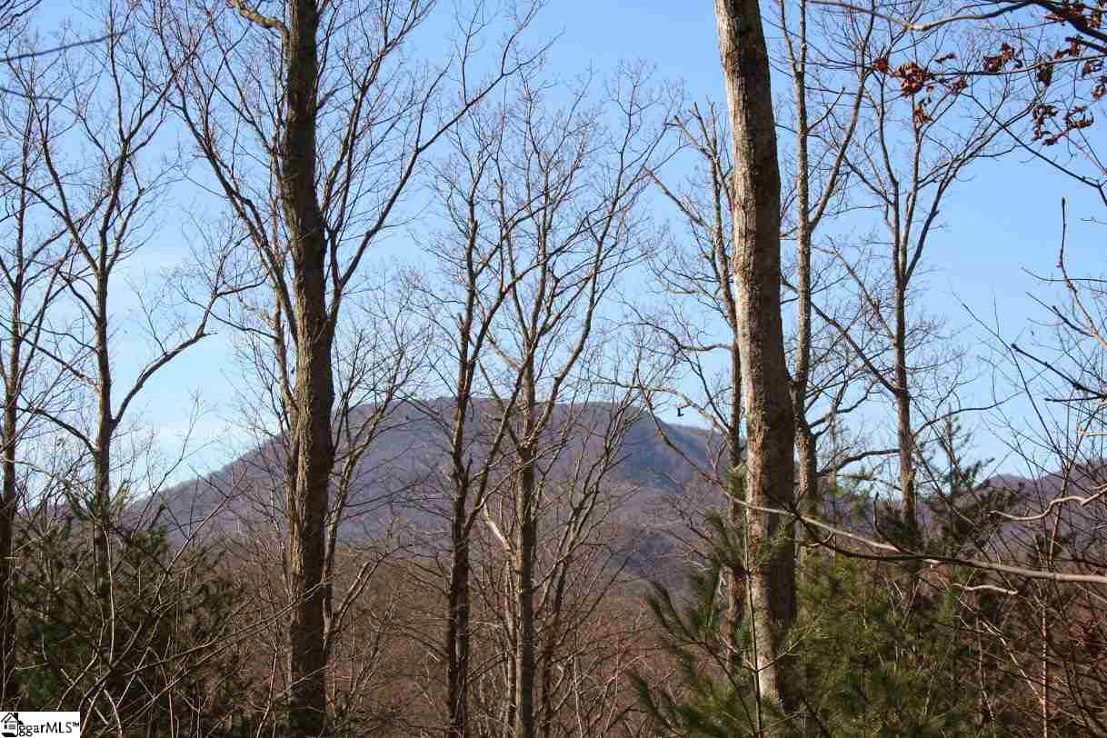 Prewette Hill Road Landrum, SC 29356 - Photo 13 of 25