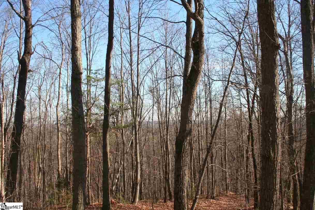Prewette Hill Road Landrum, SC 29356 - Photo 14 of 25