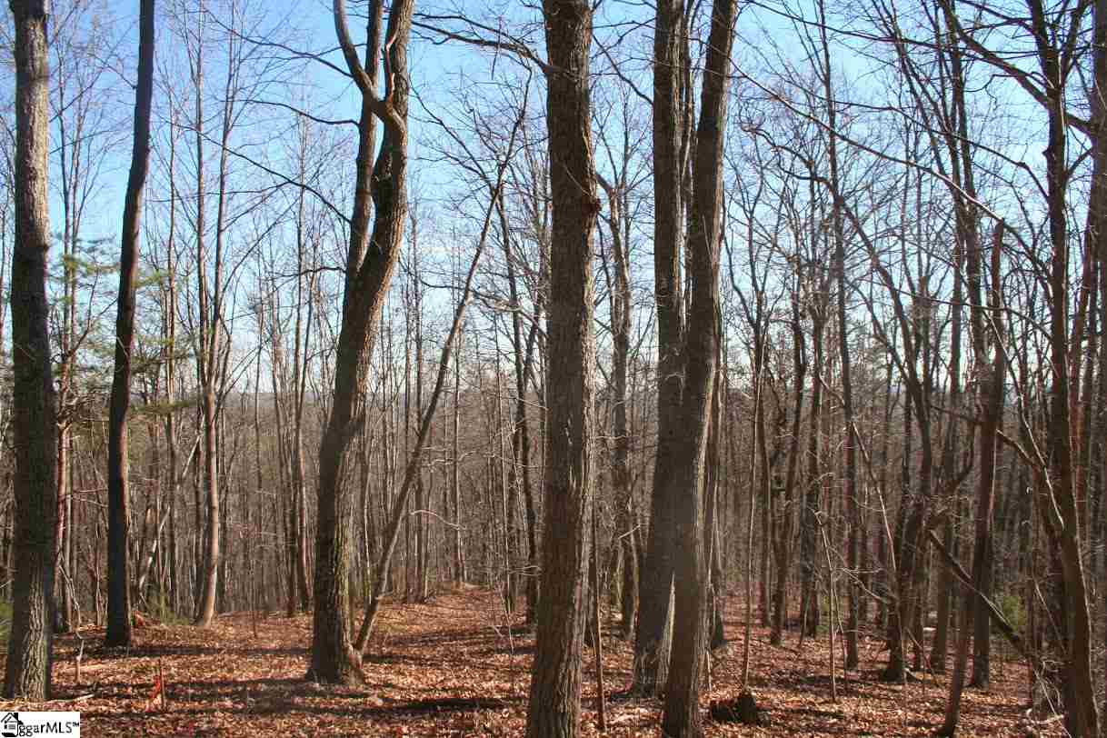 Prewette Hill Road Landrum, SC 29356 - Photo 15 of 25