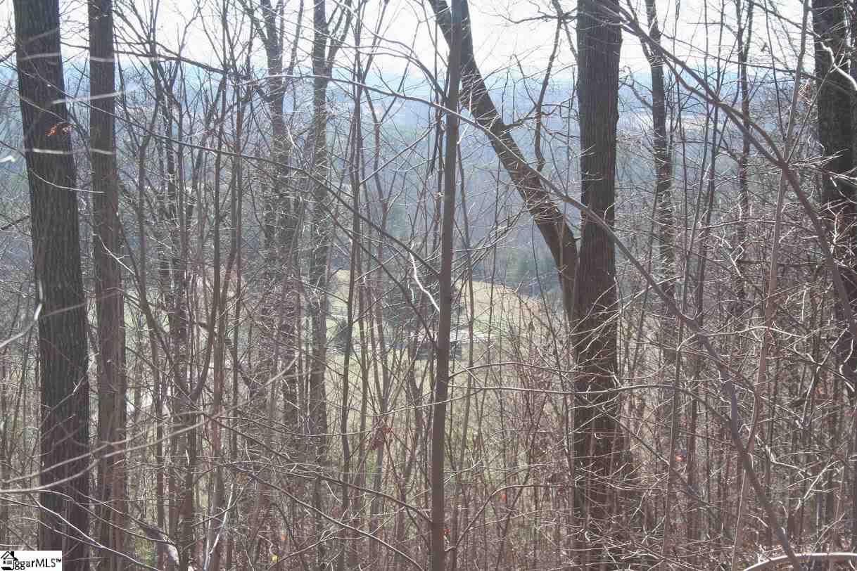Prewette Hill Road Landrum, SC 29356 - Photo 16 of 25