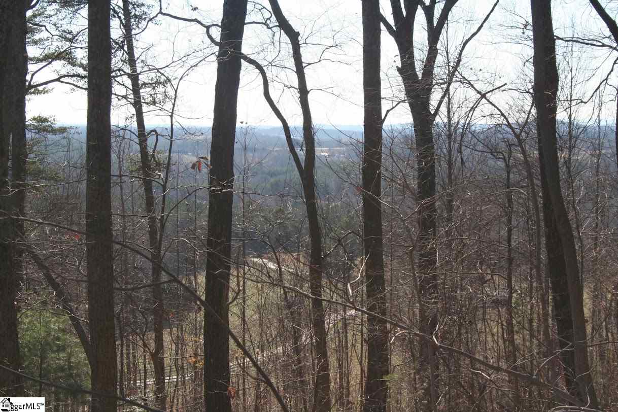 Prewette Hill Road Landrum, SC 29356 - Photo 17 of 25