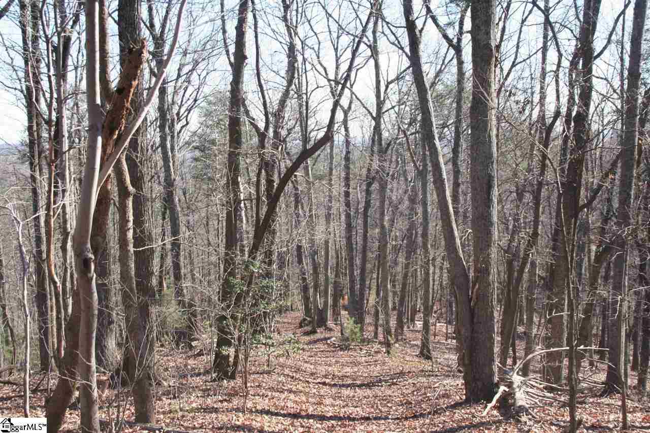 Prewette Hill Road Landrum, SC 29356 - Photo 18 of 25