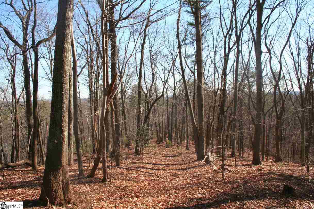 Prewette Hill Road Landrum, SC 29356 - Photo 19 of 25