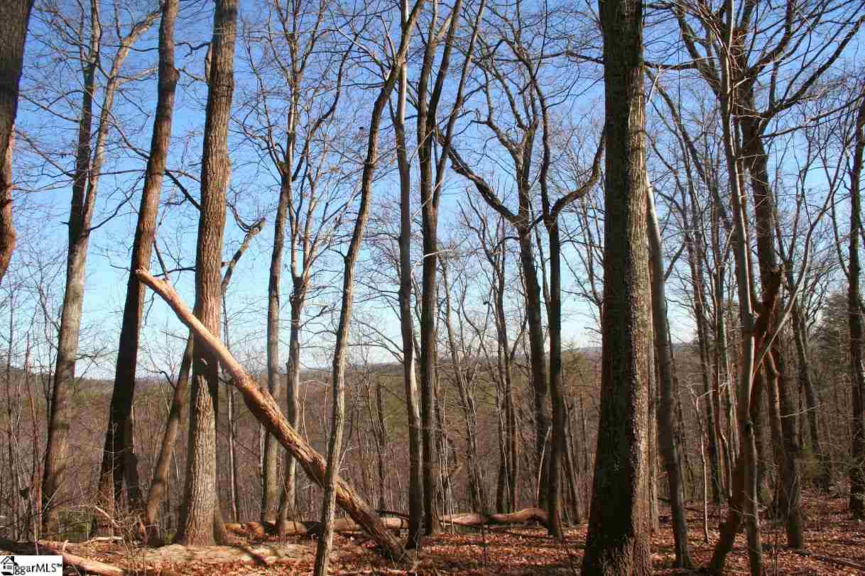 Prewette Hill Road Landrum, SC 29356 - Photo 20 of 25